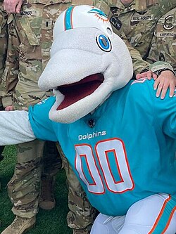 T. D. the mascot