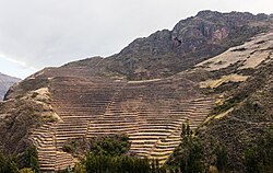 Andenes in the Sacred Valley of the Incas, near Pisac, Cuzco.