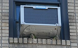 Pair of monk parakeets nesting under an air conditioner in Brooklyn, NY