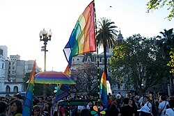 A rainbow flag at the 2009 Buenos Aires Pride parade