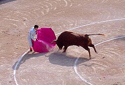 Bullfighting is lawful in some countries.