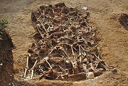 Twenty-six republicans were assassinated by Franco's Nationalists at the beginning of the Spanish Civil War, between August and September 1936. This mass grave is located at the small town of Estépar, in Burgos Province. The excavation occurred in July–August 2014.