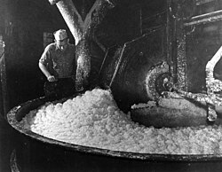 Pulp at a paper mill near Pensacola, 1947