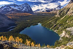 Odaray Mountain and Lake O'Hara