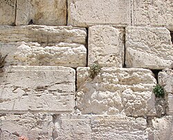 Distinctive Herodian masonry at the Western Wall in Jerusalem