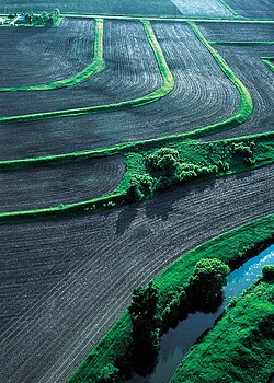 Terraces, conservation tillage and conservation buffers reduce soil erosion and water pollution on this farm in Iowa.
