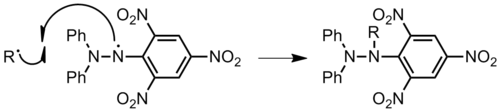 Inhibition of polymer chain, R, by DPPH.