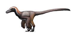 Life restoration of Pyroraptor