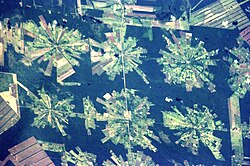 Satellite photograph of deforestation in Bolivia. Originally dry tropical forest, the land is being cleared for soybean cultivation.[5]