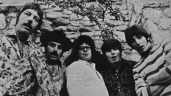 The band in 1968. From left: Jim Pons, Howard Kaylan, Mark Volman, Al Nichol, John Barbata.