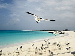 Cayo de Agua, Los Roques Archipiélago, Caribbean Sea