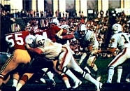 The Dolphins finished their perfect 1972 season by defeating the Redskins in Super Bowl VII.