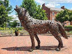 The NCSU mascot is the wolf.