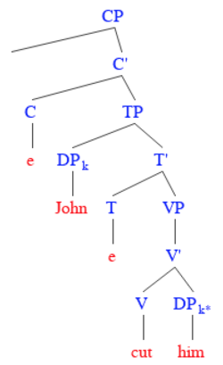 Example pronoun structure. Since "him" is immediately dominated by "John", Principle B is violated.