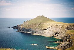 The Rumps