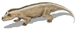 Tritylodon was a cynodont that lived in the Early Jurassic.