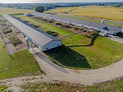 Yarding poultry farm in Vernon County, Wisconsin with a fenced in area and shadded areas for chickens to roam