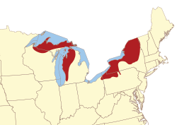 Map showing some of the lake-effect snow areas of the United States