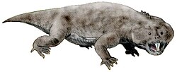 Hyperodapedon, a diapsid reptile of the Triassic, c. 230 mya