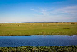 Taim Ecological Station, in the southernmost of Rio Grande do Sul (near the Atlantic Ocean), Brazil, is an example of flat topography with wetlands.