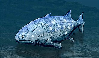 Guiyu oneiros, the earliest-known bony fish, lived during the Late Silurian, 419 million years ago).[1] It has the combination of both ray-finned and lobe-finned features, although analysis of the totality of its features places it closer to lobe-finned fish.[4][5][6]