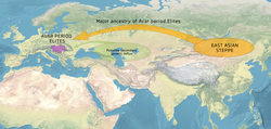 Analysis of DNA extracted from the remains of Avars found in Hungary has provided evidence that they originated in what is now Mongolia.[48]