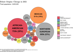 Ethnic origins in Chicago