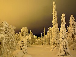 Light pollution on a ski slope in Finland gives the area a hazy, brightened sky.