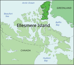 Discovery site of Tiktaalik fossils