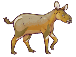 Restoration of Palaeotherium, which diversified in warmer climates