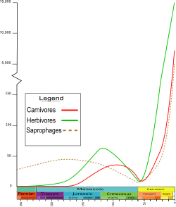 Beetle genera were mainly detritivores in the Permian and Triassic. During the Jurassic, herbivorous and then carnivorous genera became more common. In the Cenozoic, genera at all three trophic levels became far more numerous.