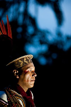 Asháninka man with woven palm crown