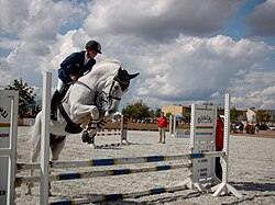 Show jumping, an equestrian sport