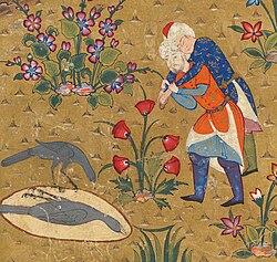 Islamic illustration of the crow showing Cain bury the body