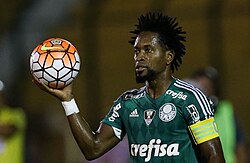 Zé Roberto