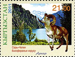 Wild sheep, urial, on a Kyrgyzstan stamp