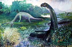 This 1897 restoration of Brontosaurus as an aquatic, tail-dragging animal, by Charles R. Knight, typified early views on dinosaur lifestyles.