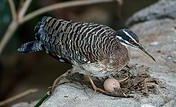 Breeding