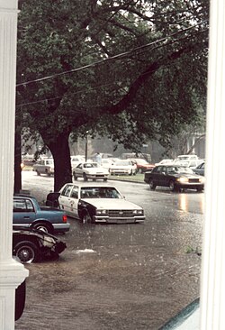 Rising water on Napoleon Avenue, Uptown New Orleans, early in the disaster; water continued to rise into the night.