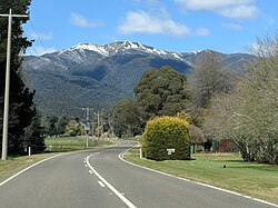 Mt Feathertop viewed from Smoko