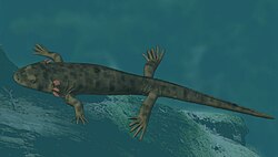 Chunerpeton