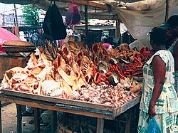 A seashell vendor in Tanzania sells seashells to tourists, seashells which have been taken from the sea alive, killing the animal inside.