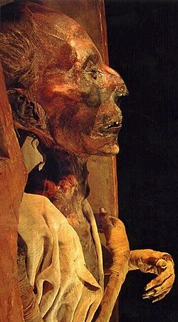 Mummy of Ramesses II in 2015