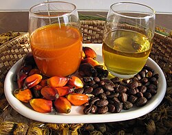 Left, reddish palm oil made from the pulp of oil palm fruit. Right, clear palm kernel oil made from the kernels