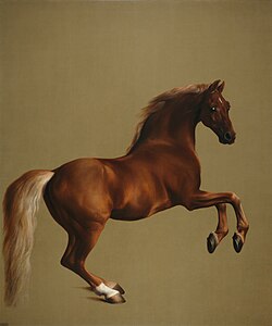 Whistlejacket (ca. 1762), oil on canvas, 292 x 246.4 cm., National Gallery