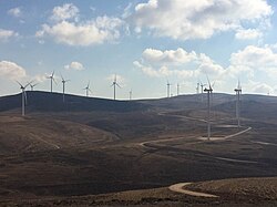 The 117 MW Tafila Wind Farm in southern Jordan is the first and largest commercial wind farm in the Middle East.[233]