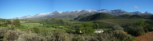 Farmlands along the well-watered, fertile foothills of the plus 2,000 m (6,600 ft) high Swartberg Mountains (in the background) along the northern strip of the Klein Karoo