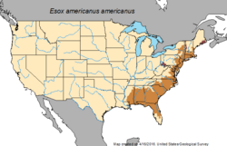 Map of the North American distribution of Esox americanus americanus
