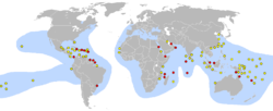 This world map shows concentrated nesting sites in the Caribbean and northeast coast of South America. Many other sites are spread across South Pacific islands, with other concentrations in the Red Sea and Persian Gulf, China's East coast, Africa's southeast coast and Indonesia.