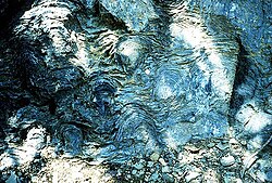 Precambrian fossilized stromatolites in the Siyeh Formation, Glacier National Park